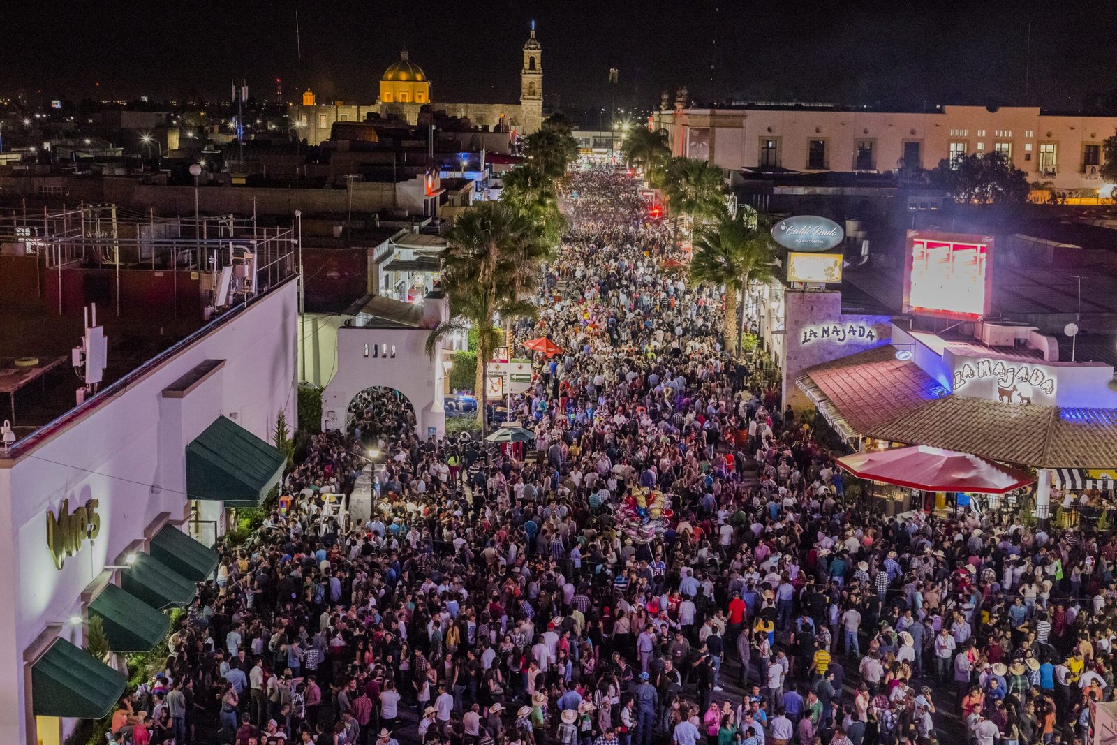 feria san marcos