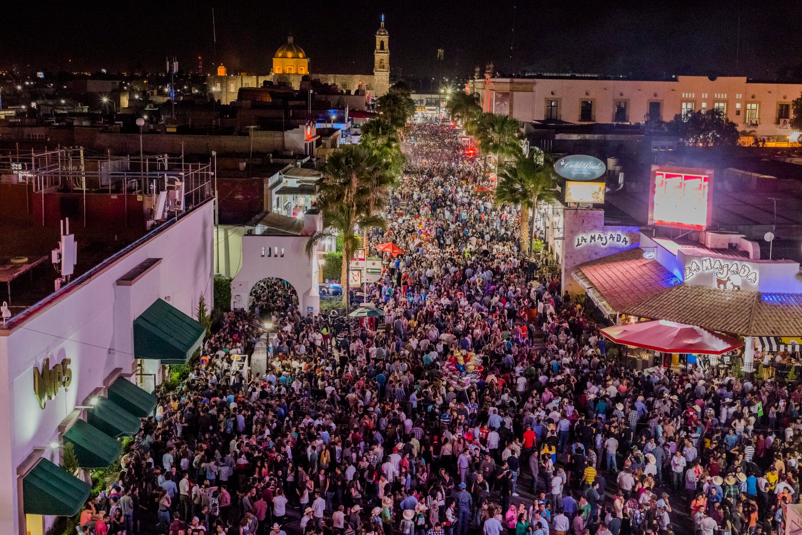 feria san marcos